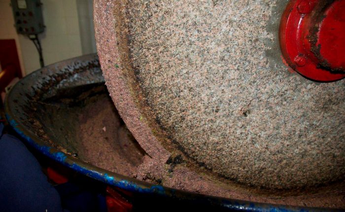 Olive press mill to visit in Italy