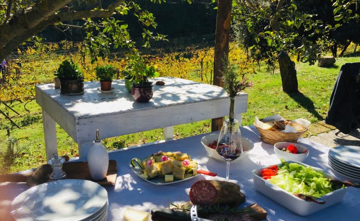 lunch in vineyard winery tour tuscany