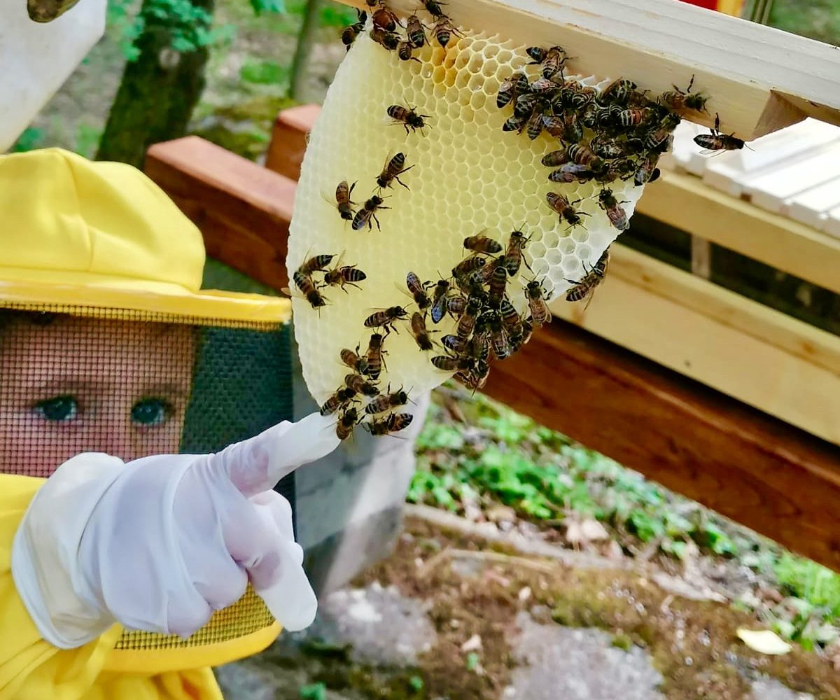 honey experience soriano 2